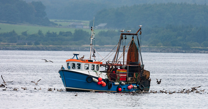 Fishing boat in Scotland