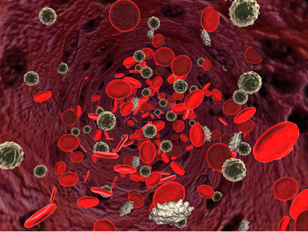 photograph photograph