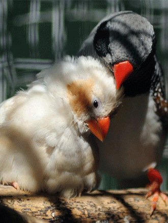 photograph photograph